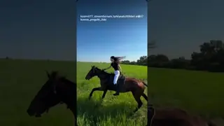 🖤🌪️🚀
