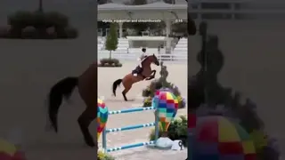 Closing out WEC with Summer Series V 🐎 Unmatched moments for Athena & Valdes
