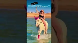 🌊🌊🌊🌊