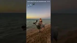 🌊🌊🌊🌊🌊🌊🌊🐎🐎🐎🐎🐎