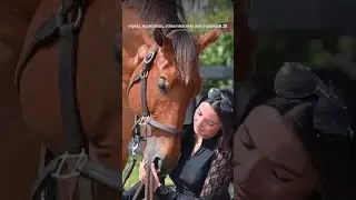 It’s amazing where 6 months will take you 🐎💙🤩