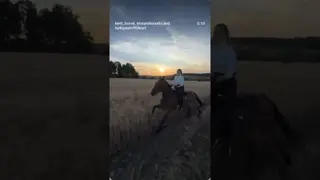 feel the horsepower 🏇🏇🏇