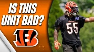 Cincinnati Bengals: Fact or Fiction on the Defensive Line?