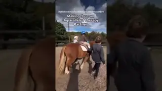 ❤️ Horses = Nature’s Therapy Partners ❤️