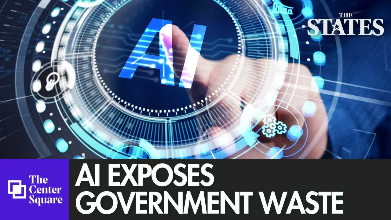 Can AI Cut Government Costs?