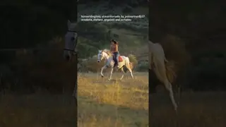 Golden sunsets, wonderful horses, and the beauty of the Italian countryside. 🌅🐎