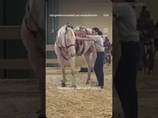 One of the first lessons I taught Morissa was to laterally flex when dismounting and mounting.