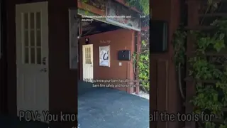 👀 🔥 🐎 🛡️