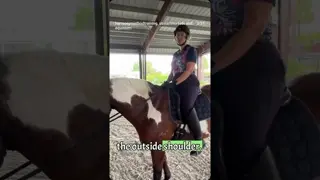 Common Mistakes Judges See: Part 4, Pulling the Horse into the Leg Yield 🦵⚠️