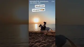 🐎🐎🐎