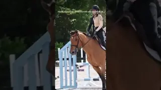 What a difference half a year can make ✨🐎💙 This pair have really improved in every way