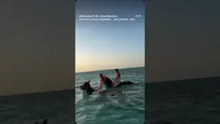 📸📸🌊🌊🌊🐎
