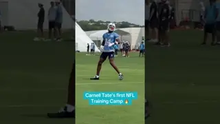 The rookie is looking smooth. #tennesseetitans #carnelltate #ohiostatefootball #widereceiver #nfl
