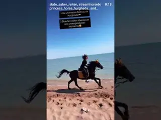 🐎🐎🐎