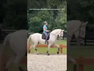 introducing jornalero xvi 🐎