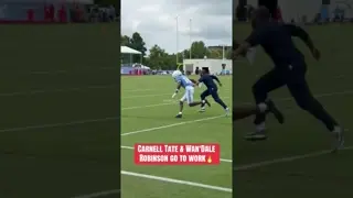 The top two targets in Nashville. #tennesseetitans #carnelltate #wandalerobinson #widereceiver #nfl