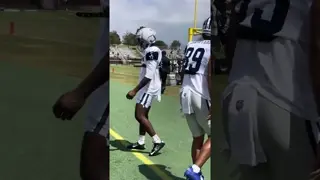#Cowboys Tight Ends Oxnard Cali Training Camp