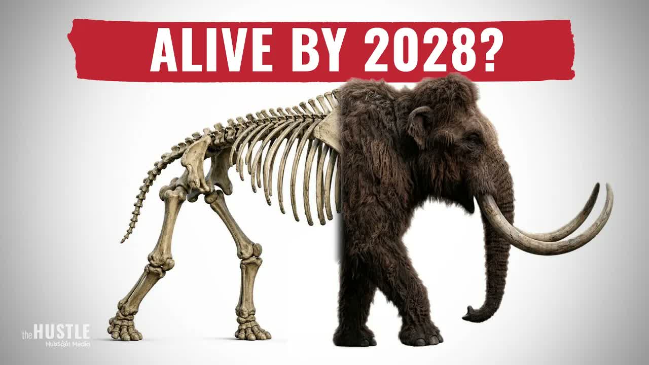 Why This Startup Is Bringing Back The Woolly Mammoth