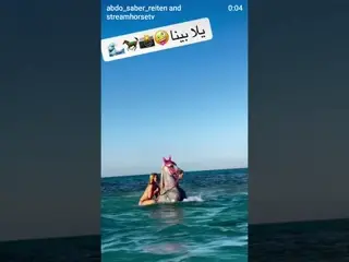 Horseback riding in Hurghada POV: Spontaneous riding, far away from everyday life.