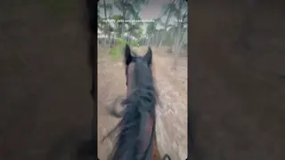 It's been a month since we last rode together. With this heat, I chose not to ride her. 🐎