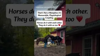 You and your horse's heart rates aren't just close when you're near each other. They're talking.