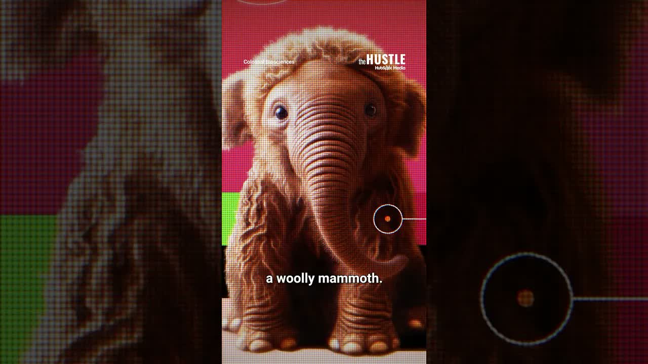 The Strangest $10 Billion Startup in America?