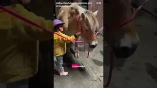 Therapy does not always look like therapy. Sometimes it looks like brushing a horse...