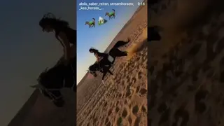 A different adventure between sand and calm, enjoying the beauty of horses and the desert. ❤️