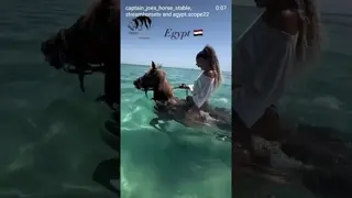 🇪🇬🐎🤠