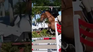 Airtime only ✈️🛫🦅🚀 from Athena & Valdes’s 2026 season for #FlashbackFriday 💙🐎
