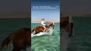 🌊🌊
