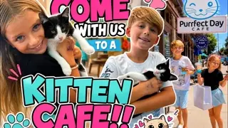 SURPRISE! 🙀 THIS ISN’T A NORMAL CAFE! Wait until you see what was waiting for us inside!! 🐱