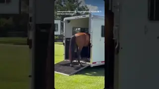 Taking these two boys for an adventure! 🤩👏🏻🐎