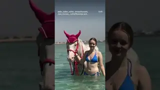Laughs, adventure, and a horse in the water! 🐎🌊😂