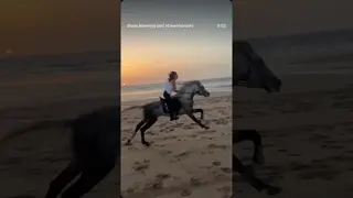 Living the dream, fast, free and happy 🏇🏼🌅 🧡