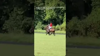 👉 HE’S MORE THAN JUST THE LITTLE BROTHER…💪 Keep an eye on this one. 👀🏇