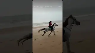 Born to run 💨🐎 Yani 🤍