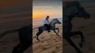 Living the dream, fast and unstoppable 🐎🌅🧡 Lennox