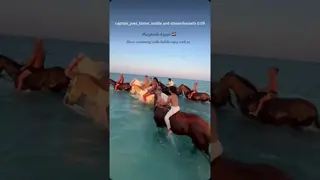 Ladies, your perfect horse experience is waiting! 🐎🌊