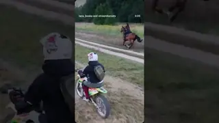 traditional vs modern horsepower 🏍🐎