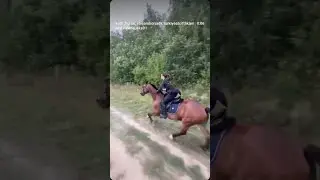 How many horsepower did you count?