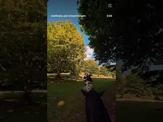 Come and enjoy the view of Mount Livata on horseback 🫶🐎