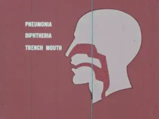 Standards Of Cleanliness (1969)