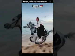 egypt beach rides 🇪🇬🐎