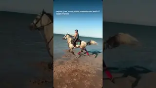 🐎 Enjoy an amazing horse riding trip in Hurghada! 🌊