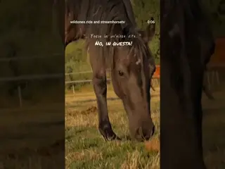 Not in another life. In this one. 🐎 On horseback, possibly.