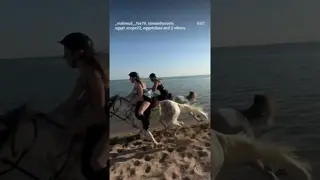 Running with the horse on the beach isn’t just riding… it’s pure FREEDOM. 🐎🔥🌊
