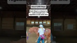 This isn’t a pony ride, this is 6,000 inputs delivered and executed with a therapist’s guidance.