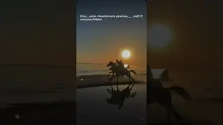 Sunrise 🌅