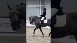 Congrats to Chelsey & Tyra on Sorrateiro's first show 71+% at WEC Ocala in the FEI 5-Year-Olds  💙🐎